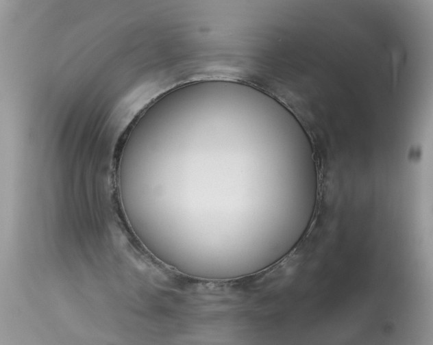 X0000113110338200909111120