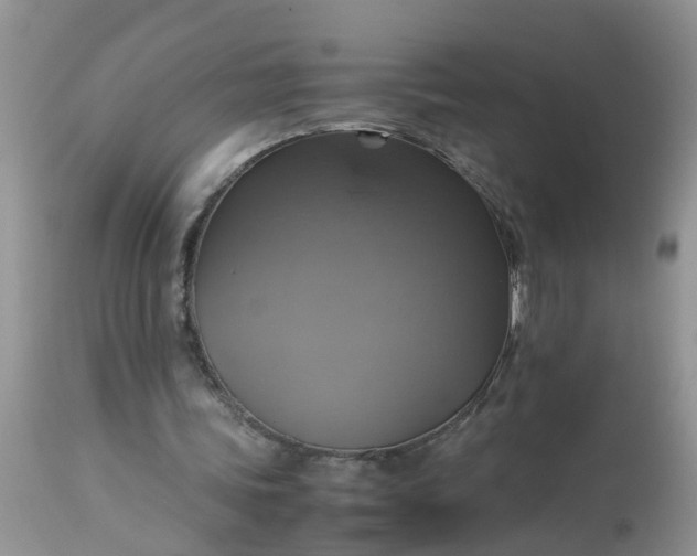 X0000113110339200909111120