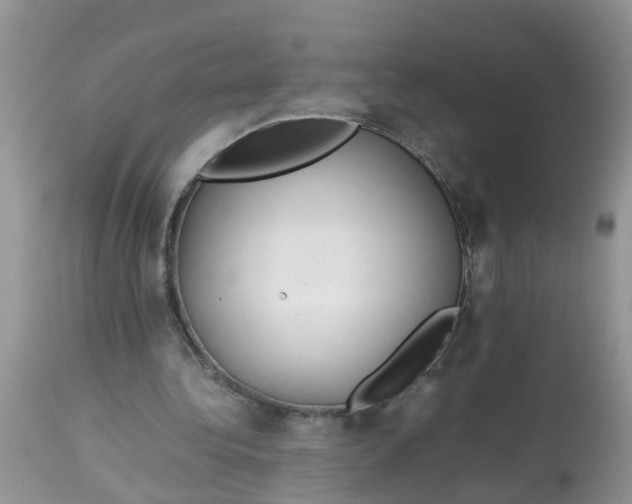 X0000113110340200909111120