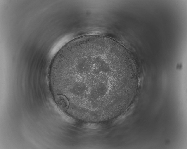 X0000113110341200909111120