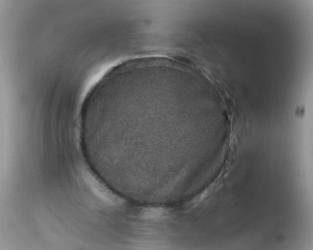 X0000113110342200909111120