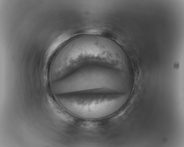 X0000113110343200909111120