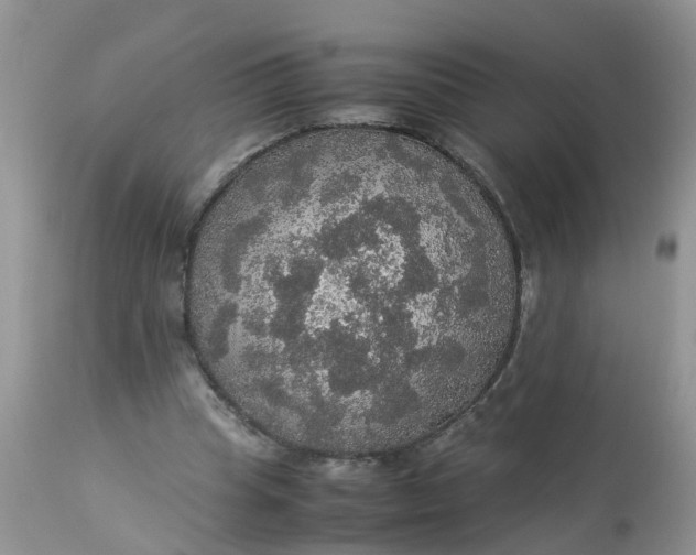 X0000113110345200909111120