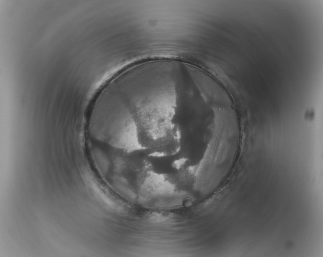 X0000113110346200909111120