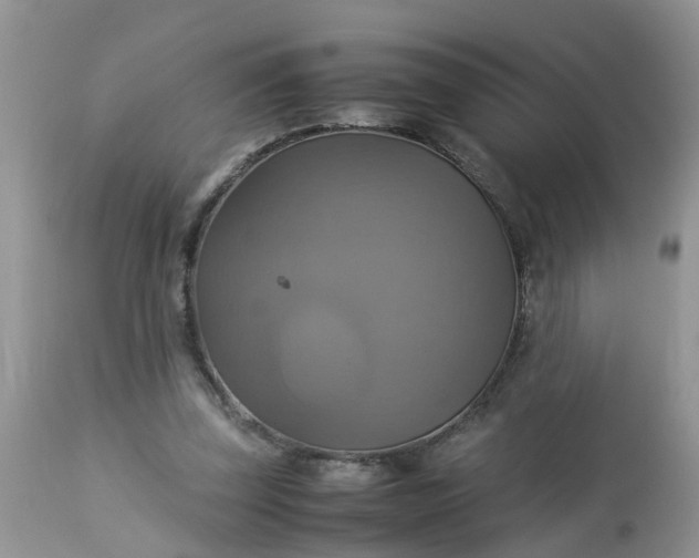 X0000113110347200909111120