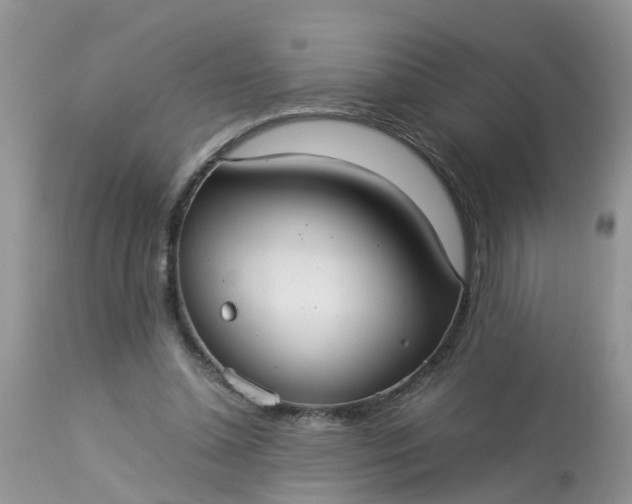 X0000113110348200909111120