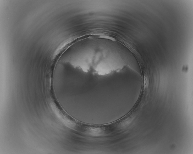 X0000113110349200909111120