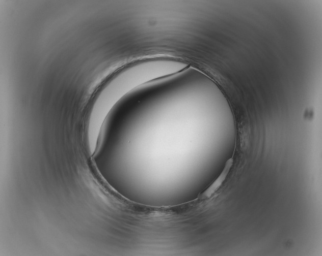 X0000113110350200909111120