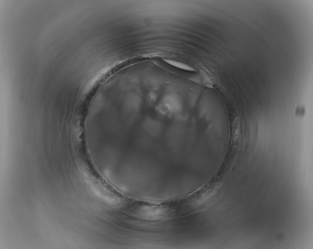 X0000113110351200909111120