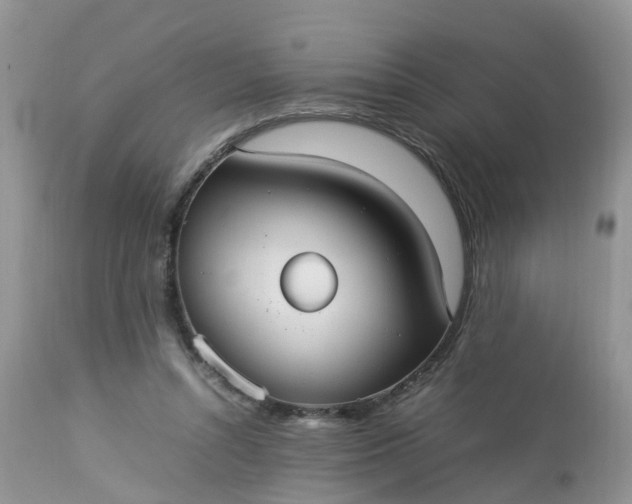 X0000113110352200909111120