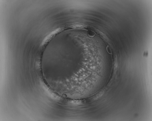 X0000113110353200909111120