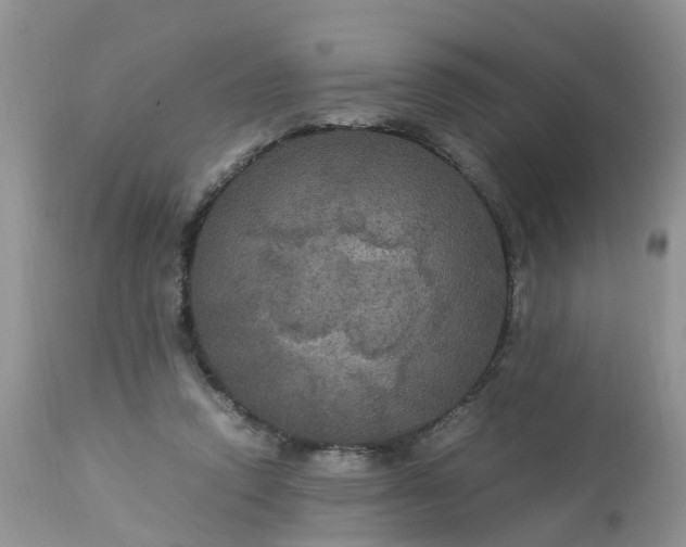 X0000113110354200909111120