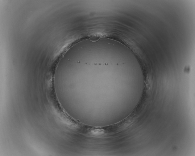 X0000113110355200909111120