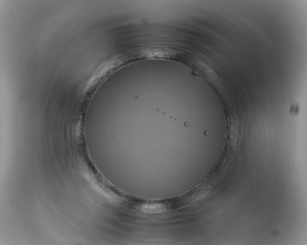 X0000113110357200909111120