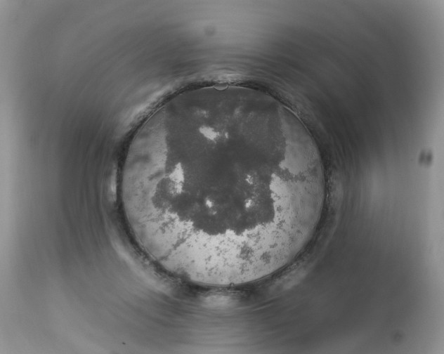 X0000113110358200909111120