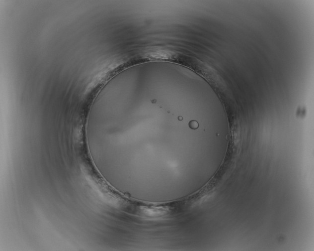 X0000113110359200909111120