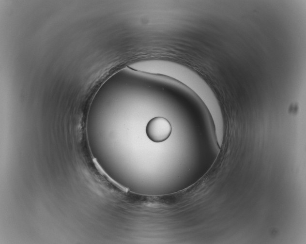 X0000113110360200909111120