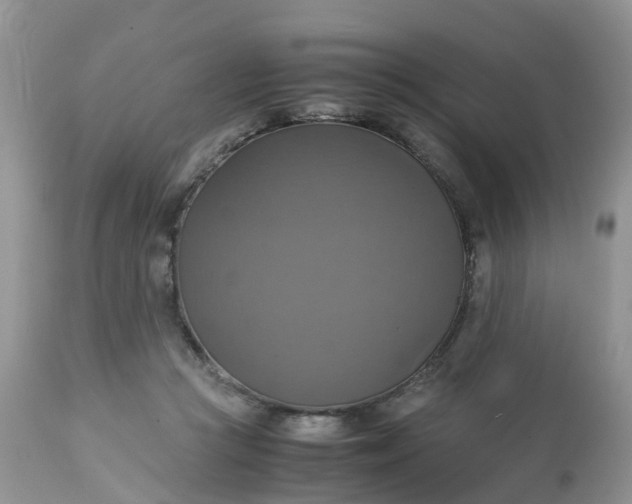 X0000113110361200909111120