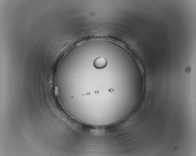 X0000113110362200909111120