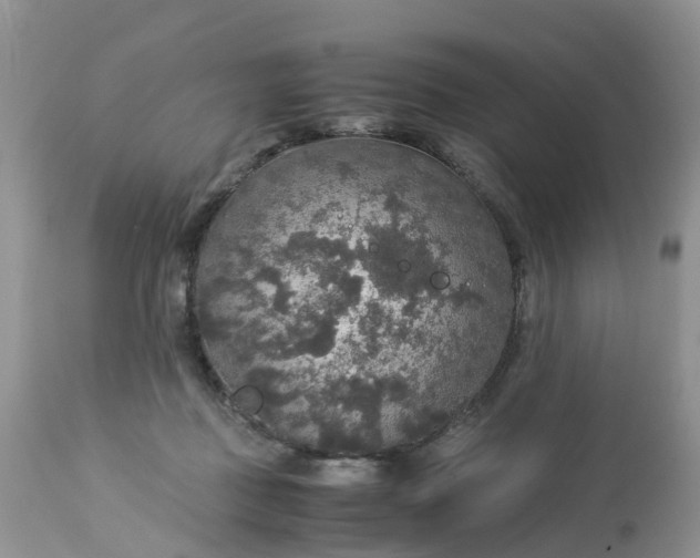 X0000113110363200909111120