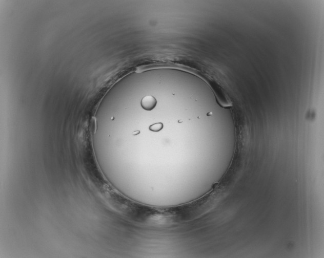 X0000113110364200909111120