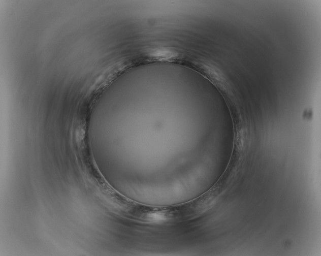 X0000113110365200909111120