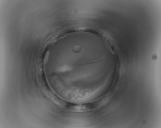 X0000113110366200909111120