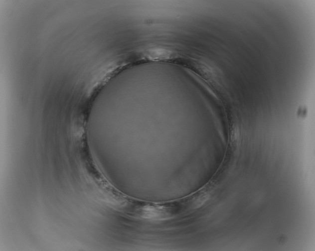 X0000113110367200909111120