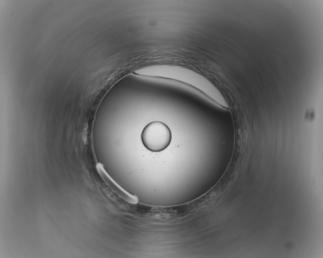 X0000113110368200909111120