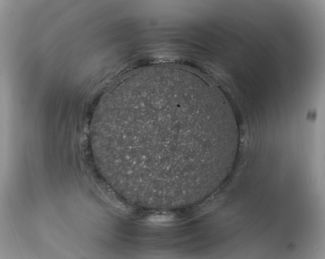 X0000113110369200909111120