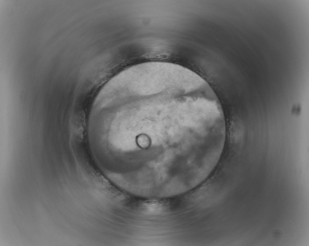 X0000113110370200909111120