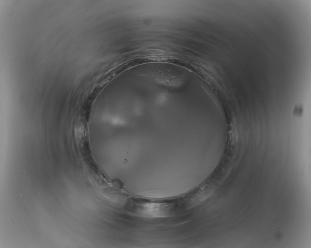 X0000113110371200909111120