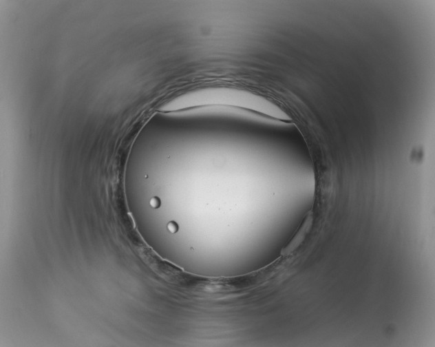 X0000113110372200909111120