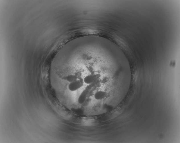 X0000113110373200909111120