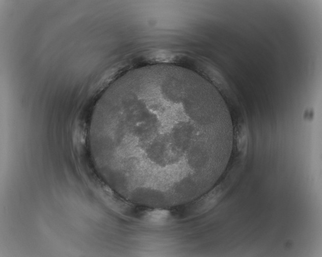 X0000113110374200909111120