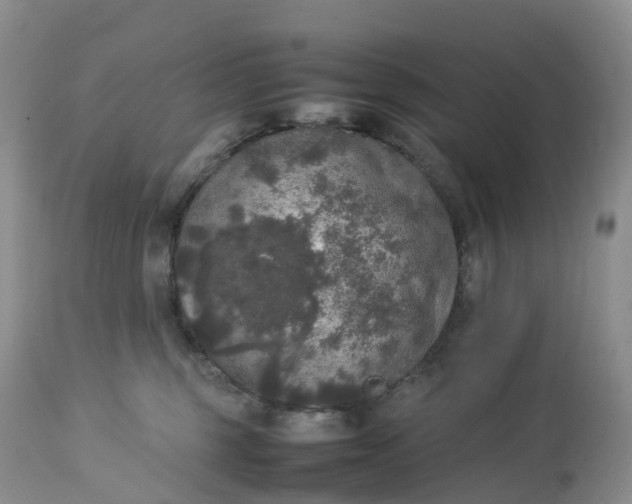 X0000113110375200909111120