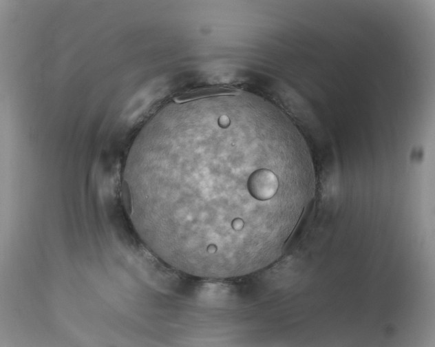 X0000113110376200909111120