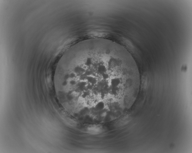 X0000113110377200909111120