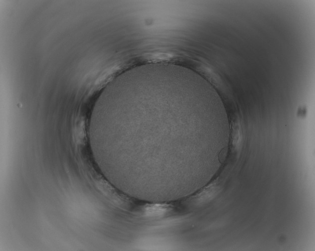 X0000113110378200909111121