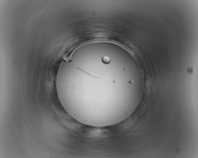 X0000113110379200909111121