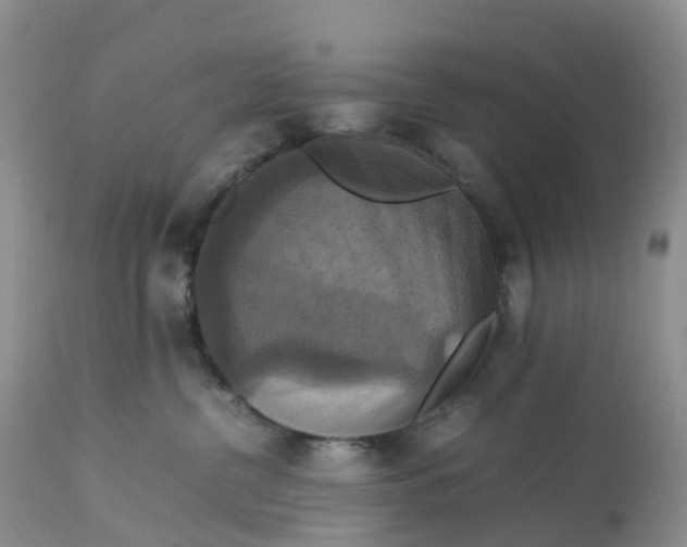 X0000113110380200909111121