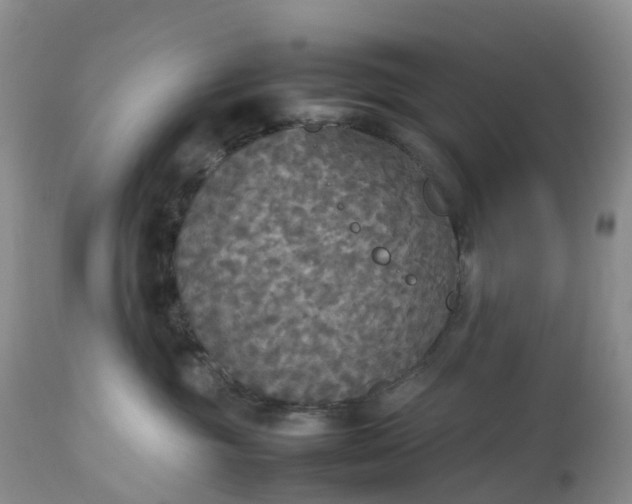 X0000113110381200909111121