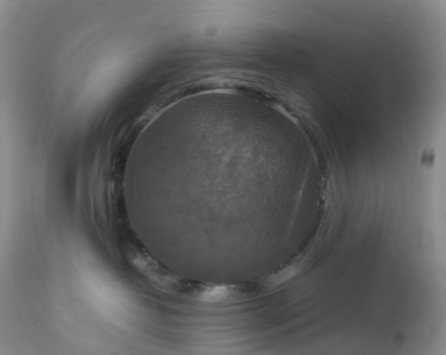 X0000113110382200909111121