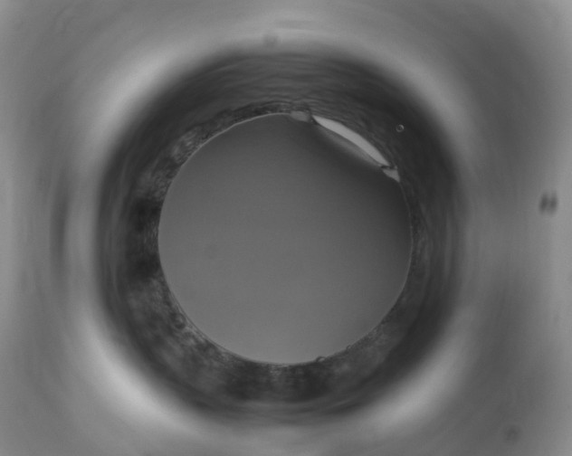 X0000113110383200909111121