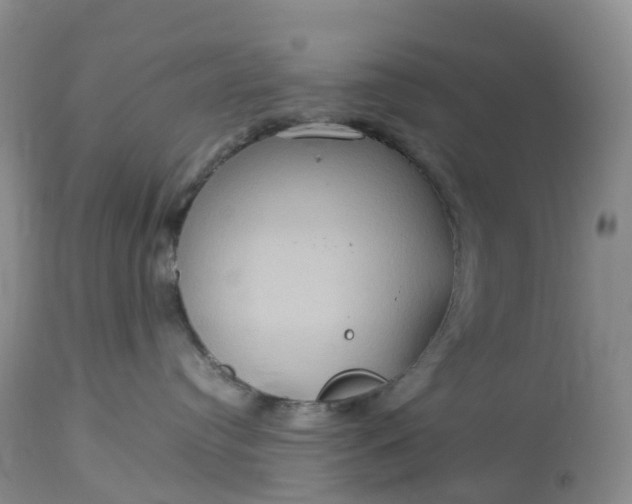 X0000113110384200909111121