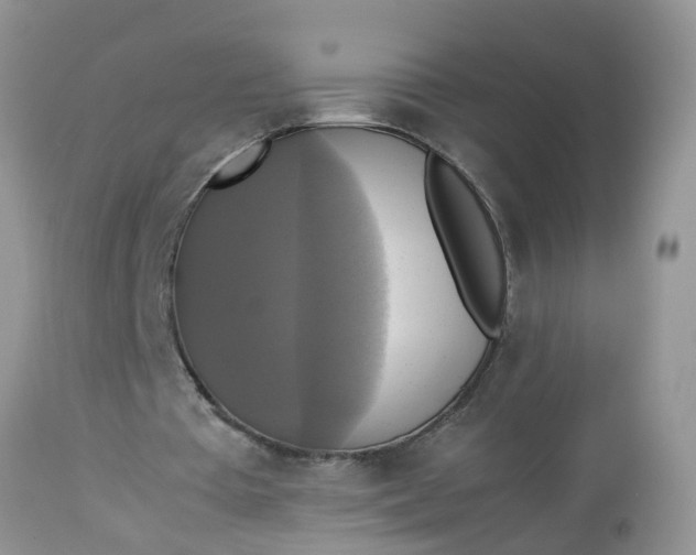 X0000113110385200909111120