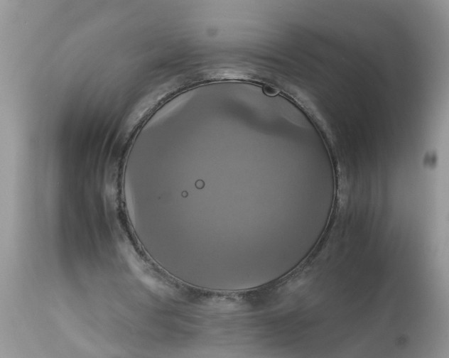 X0000113110386200909111120