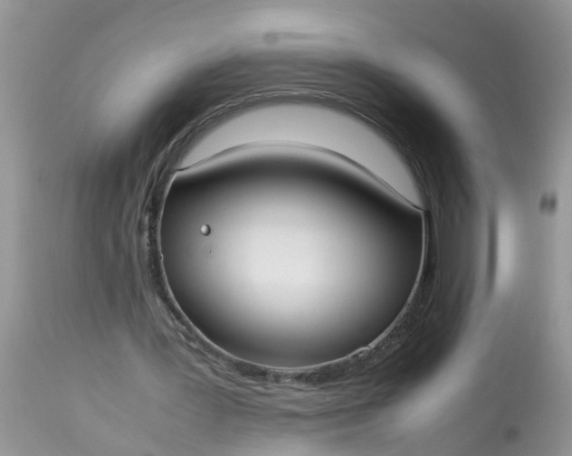 X0000113110387200909111120