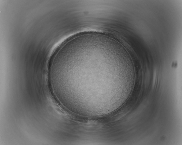 X0000113110388200909111120