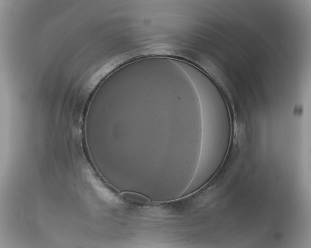 X0000113110389200909111120